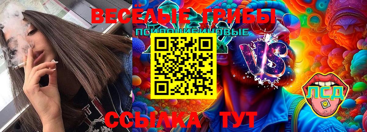 Рассказово  Галлюциногенные грибы Psilocybine cubensis  Вход с VPN  хочу   Галлюциногенные грибы ЛСД 